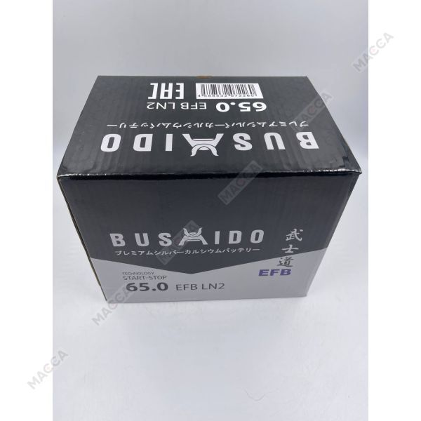 Аккумулятор BUSHIDO EFB 65 обр (L2.0, CA), изображение 6