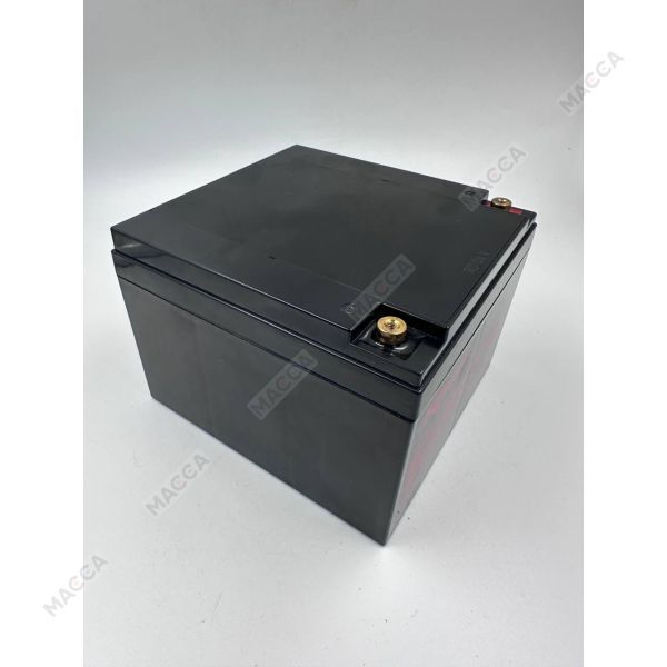 Аккумуляторная батарея RDrive ELECTRO RESERVE NP24-12I, изображение 3