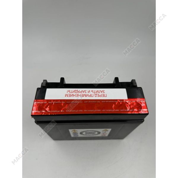 Аккумулятор RDRIVE eXtremal Iridium YT19BL-BS, изображение 12